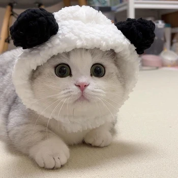 Lemmiklooma Müts Panda Kujuline Peakatet Lemmiklooma Foto Rekvisiidid, mis Sobib Koertele ja Kassidele