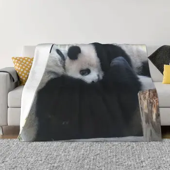 Jaapani Xiangxiang Panda Tekk Soe Hubane Dekoratiivsed Voodi Viska Tekid jaoks Voodipesu Reisimine, Telkimine